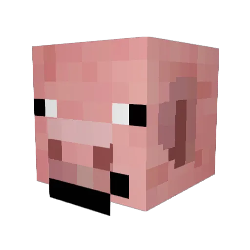 BiGSugaar Minecraft avatar head, 3D render