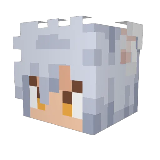 BiGi73 Minecraft avatar head, 3D render