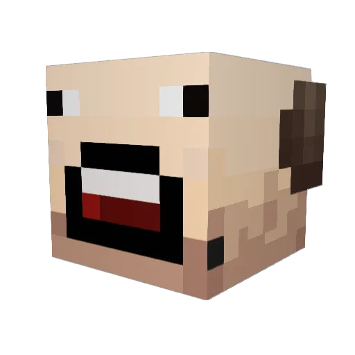 BiPolar_Bear96 Minecraft avatar head, 3D render