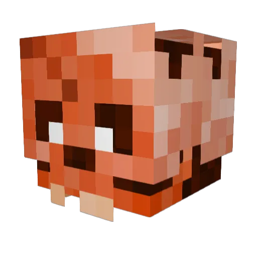 BiSanic6 Minecraft avatar head, 3D render