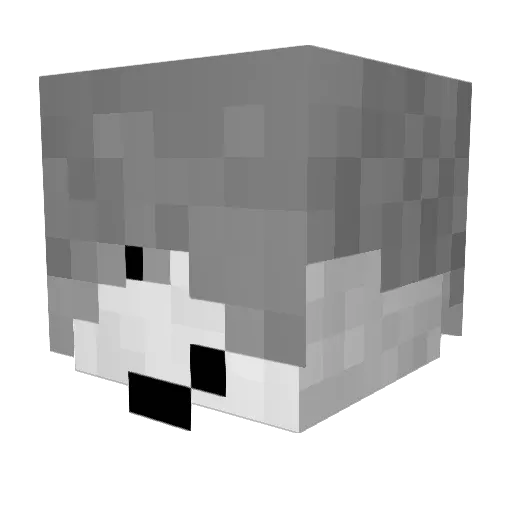 BiZOLoLo Minecraft avatar head, 3D render