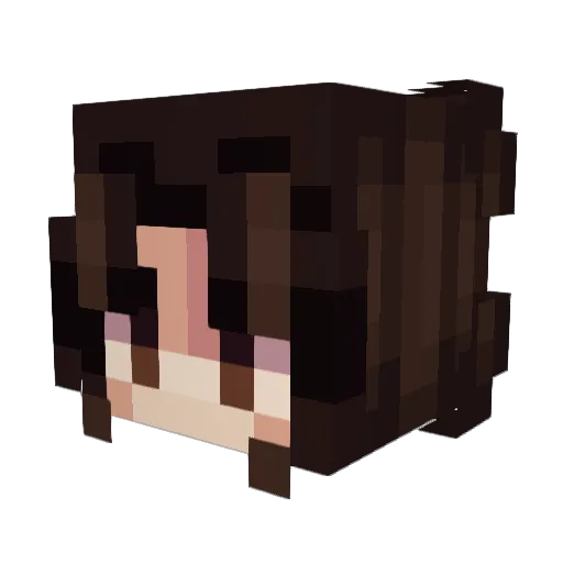 Bia6924 Minecraft avatar head, 3D render