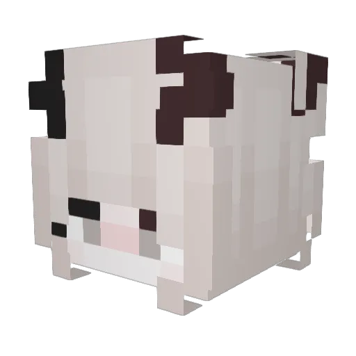BiaZoe Minecraft avatar head, 3D render
