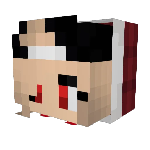 Biaatch Minecraft avatar head, 3D render