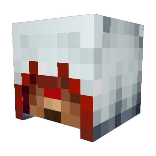 BialogicalGamer Minecraft avatar head, 3D render
