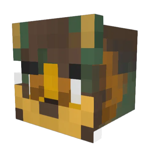Biam Minecraft avatar head, 3D render