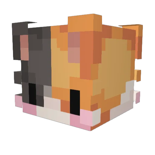 BianLu11 Minecraft avatar head, 3D render