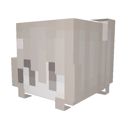 Bianca Minecraft avatar head, 3D render