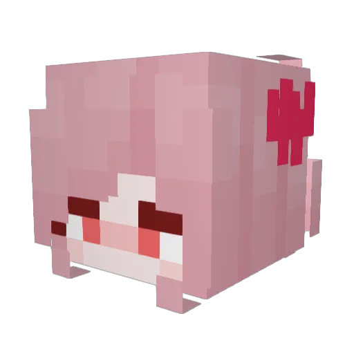 Bianca_EunHae Minecraft avatar head, 3D render