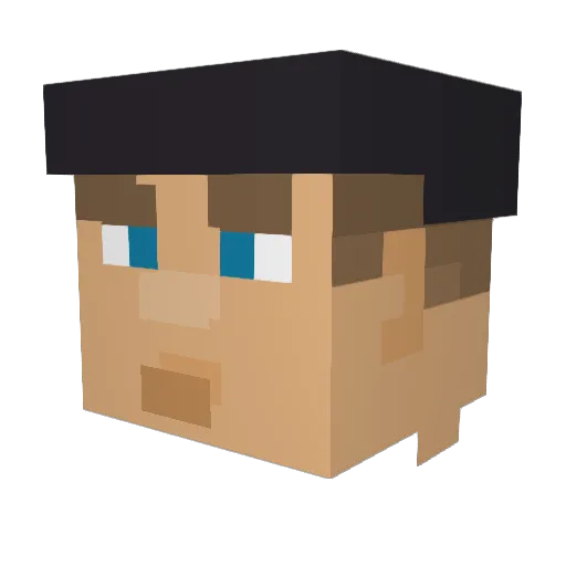 Bianco9999 Minecraft avatar head, 3D render