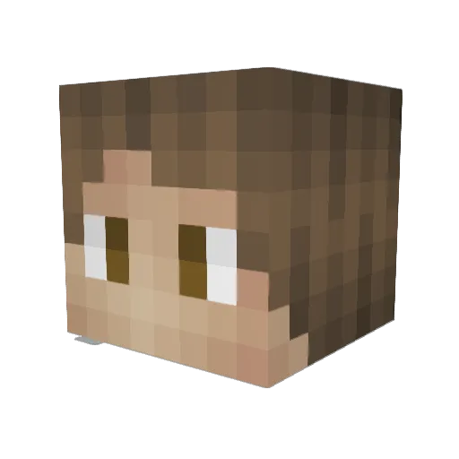 Biang__ Minecraft avatar head, 3D render