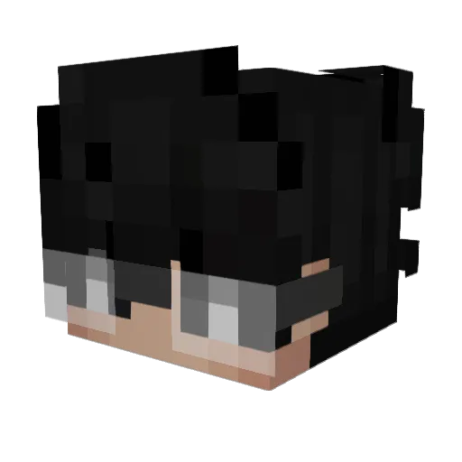 Biann1 Minecraft avatar head, 3D render