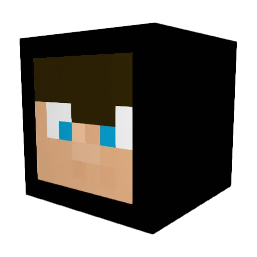 Bianucci22 Minecraft avatar head, 3D render
