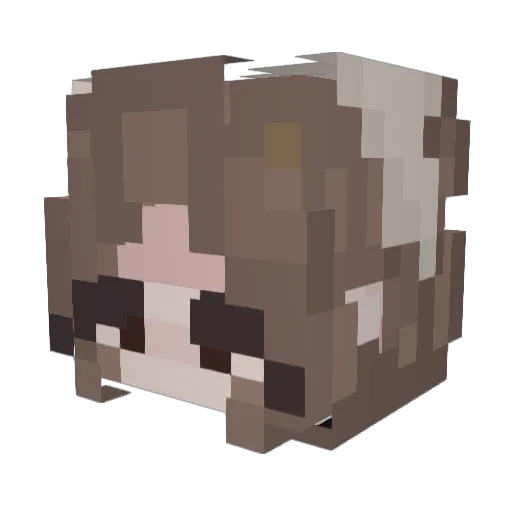 BiasRabbit48 Minecraft avatar head, 3D render