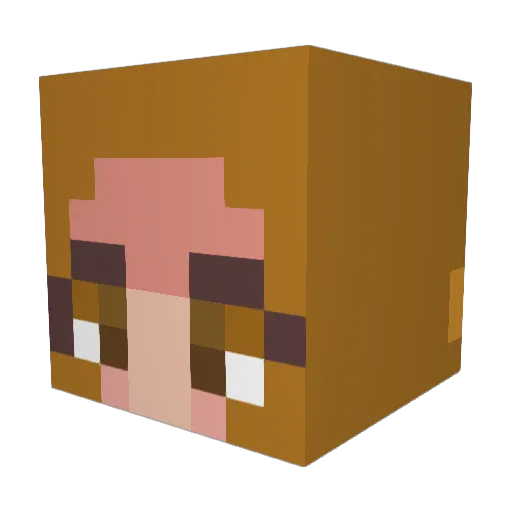 BiasStudent3784 Minecraft avatar head, 3D render