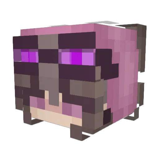 BiasedFlower919 Minecraft avatar head, 3D render