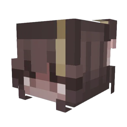 Biazitah Minecraft avatar head, 3D render