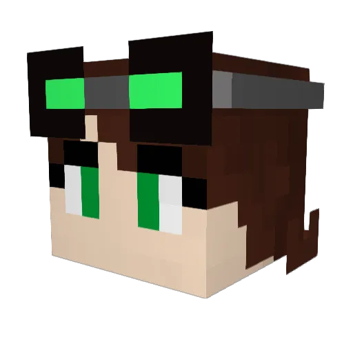 BibSquid Minecraft avatar head, 3D render