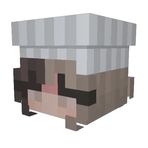 Bibaa14 Minecraft avatar head, 3D render