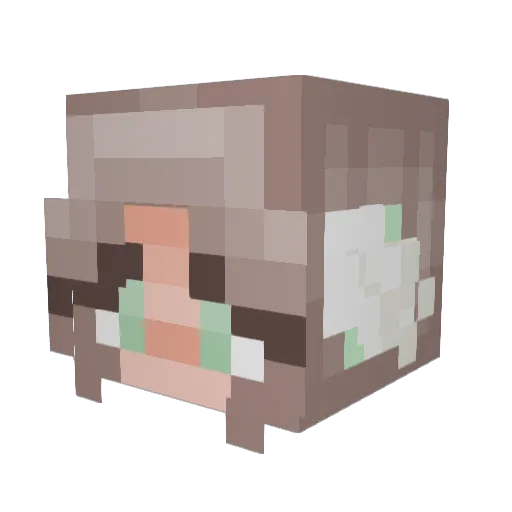 BibbleWibble07 Minecraft avatar head, 3D render