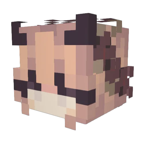 Bibbxe Minecraft avatar head, 3D render