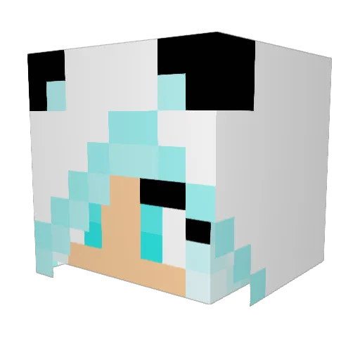 Bibi1983 Minecraft avatar head, 3D render