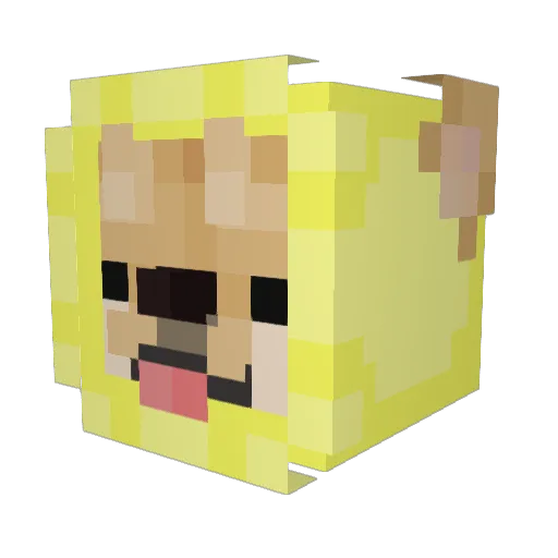 Bibi422 Minecraft avatar head, 3D render