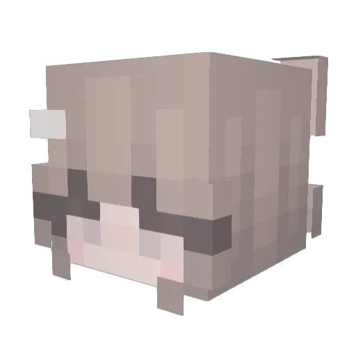 Bibi9112 Minecraft avatar head, 3D render