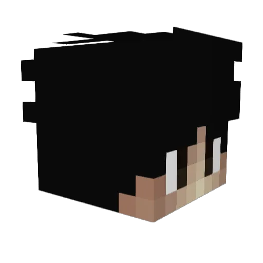 Bibi_Walker Minecraft avatar head, 3D render