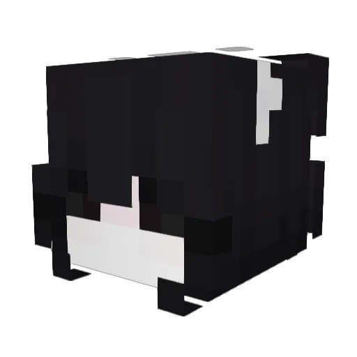Bibictus Minecraft avatar head, 3D render