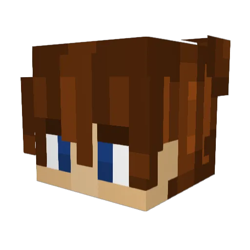 Bibis1234 Minecraft avatar head, 3D render