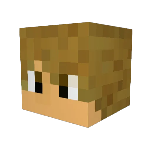 Bibis2K19 Minecraft avatar head, 3D render