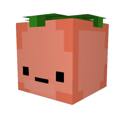 BibleIsWordOfGod Minecraft avatar head, 3D render