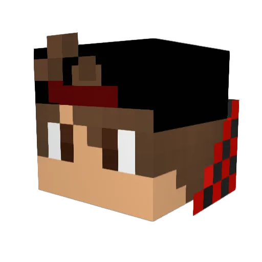 Bibleverses Minecraft avatar head, 3D render