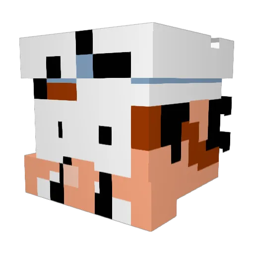 Bibly2011 Minecraft avatar head, 3D render