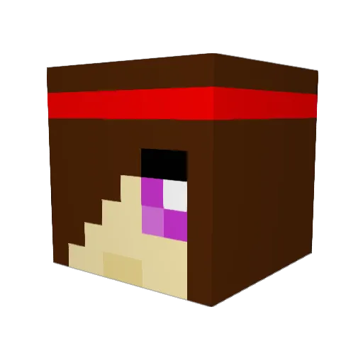 Bic_Bois Minecraft avatar head, 3D render