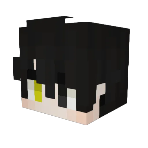Bicckkal Minecraft avatar head, 3D render