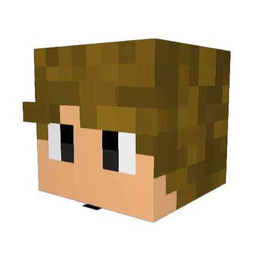Bich_Lasagna Minecraft avatar head, 3D render