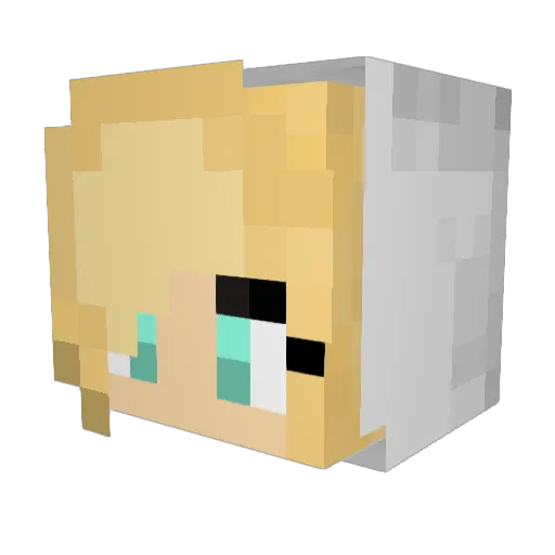 Bichon2004 Minecraft avatar head, 3D render