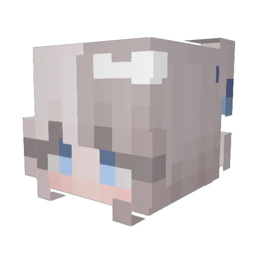 Bichu05 Minecraft avatar head, 3D render