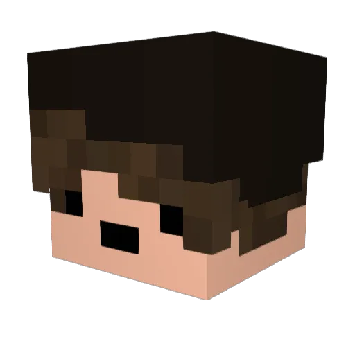 Bicicletinha Minecraft avatar head, 3D render