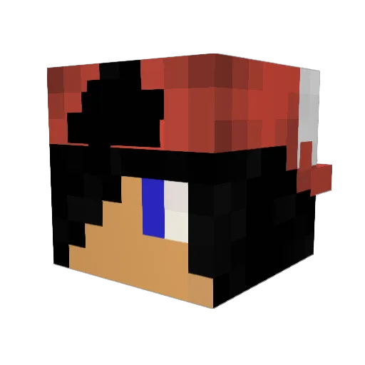 BicoPay Minecraft avatar head, 3D render