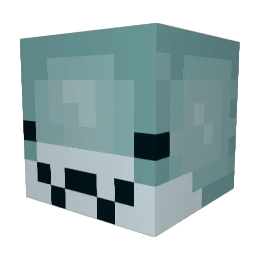 Bicuda15 Minecraft avatar head, 3D render