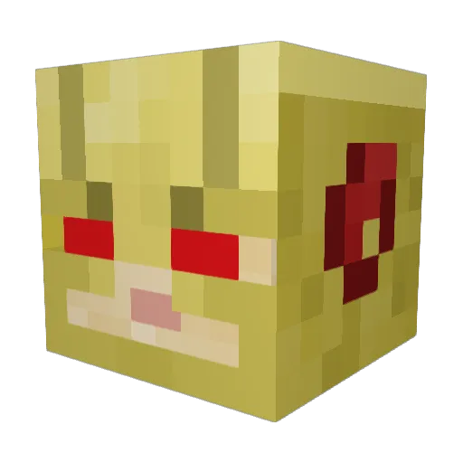 BidClee Minecraft avatar head, 3D render