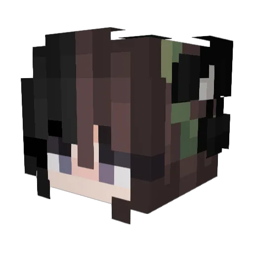 BidPlu55 Minecraft avatar head, 3D render