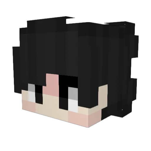 BidRo Minecraft avatar head, 3D render