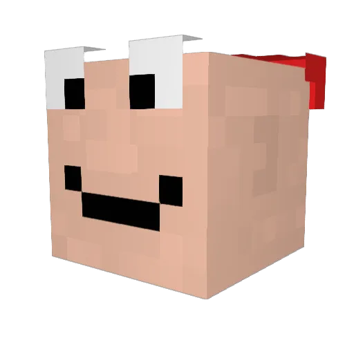 BidZ2 Minecraft avatar head, 3D render