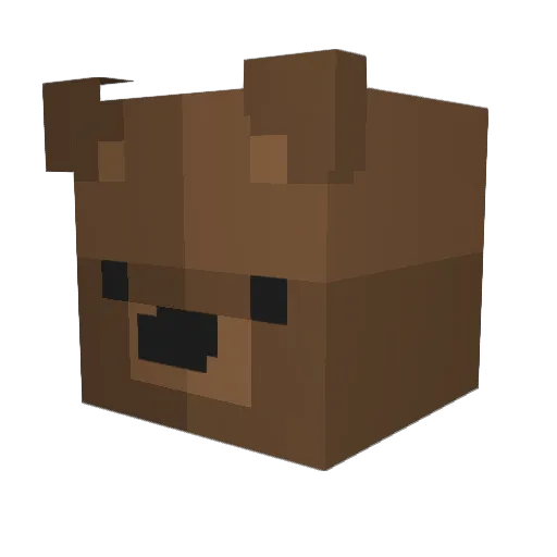 Bidbird01 Minecraft avatar head, 3D render