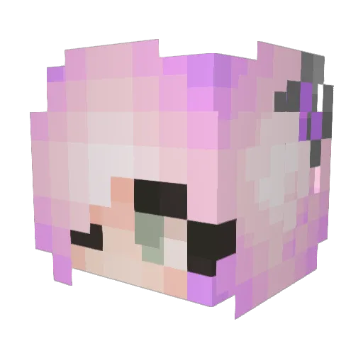 Biddi_2013 Minecraft avatar head, 3D render