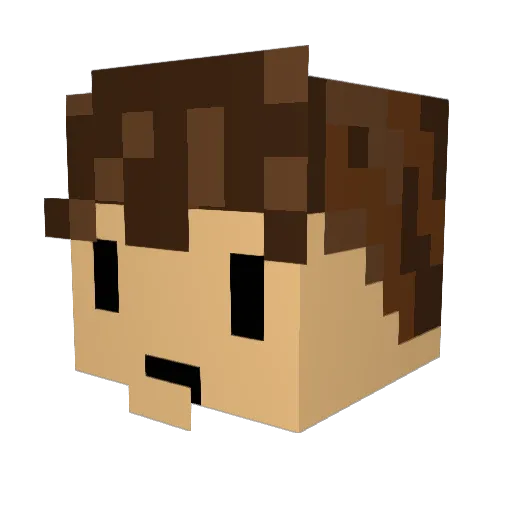BiddleDiddle Minecraft avatar head, 3D render